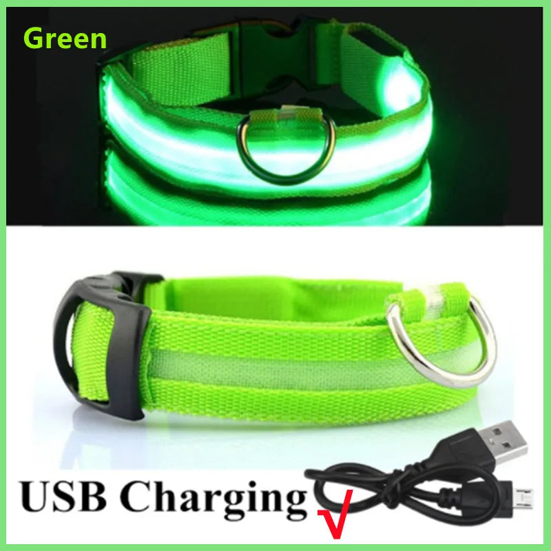 Verstellbares leuchtendes Haustierhalsband – über USB wiederaufladbares LED-Licht für Hunde und Katzen