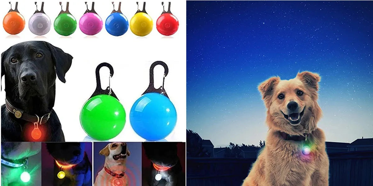 Verstellbares leuchtendes Haustierhalsband – über USB wiederaufladbares LED-Licht für Hunde und Katzen