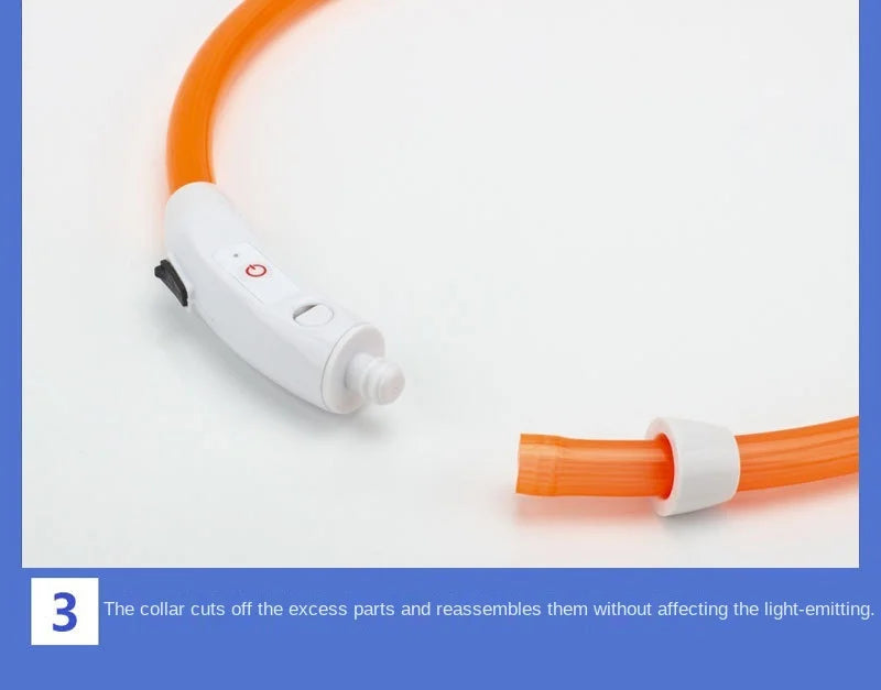 Verstellbares leuchtendes Haustierhalsband – über USB wiederaufladbares LED-Licht für Hunde und Katzen