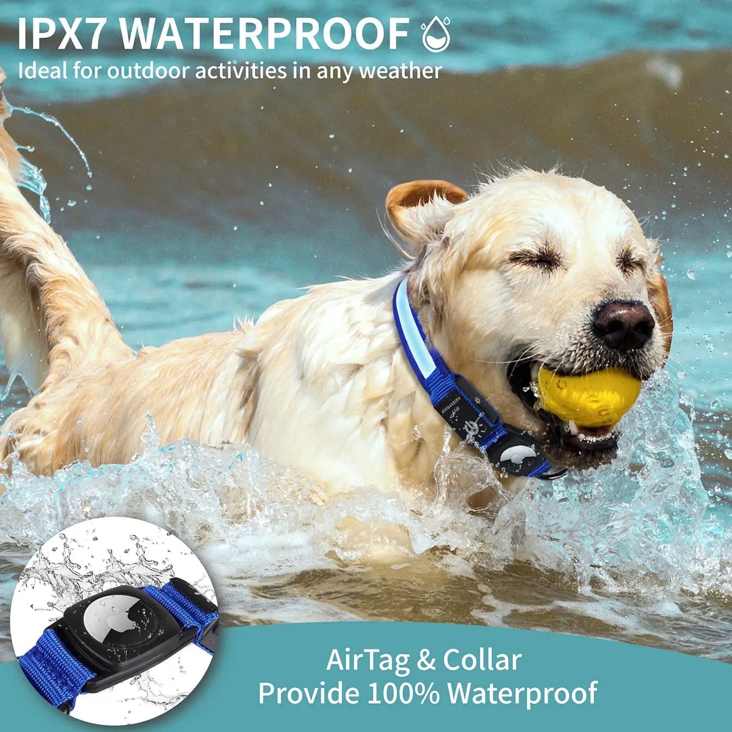 GPS Dog Collar with Apple AirTag - LED & USB Rechargeable