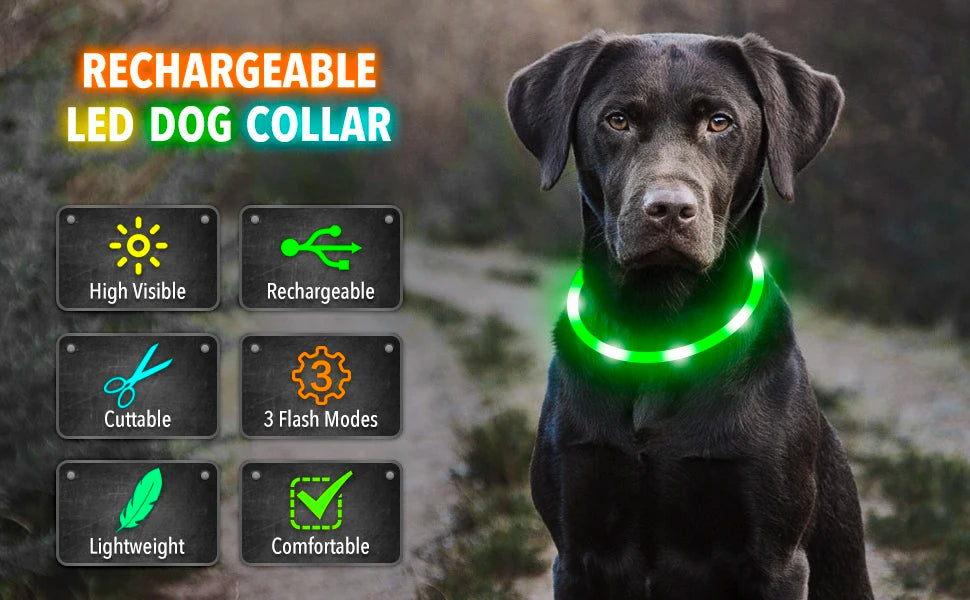 Verstellbares leuchtendes Haustierhalsband – über USB wiederaufladbares LED-Licht für Hunde und Katzen