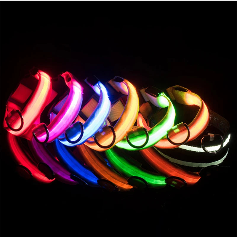 Verstellbares leuchtendes Haustierhalsband – über USB wiederaufladbares LED-Licht für Hunde und Katzen