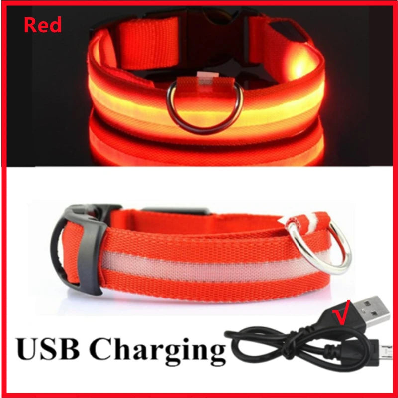 Verstellbares leuchtendes Haustierhalsband – über USB wiederaufladbares LED-Licht für Hunde und Katzen