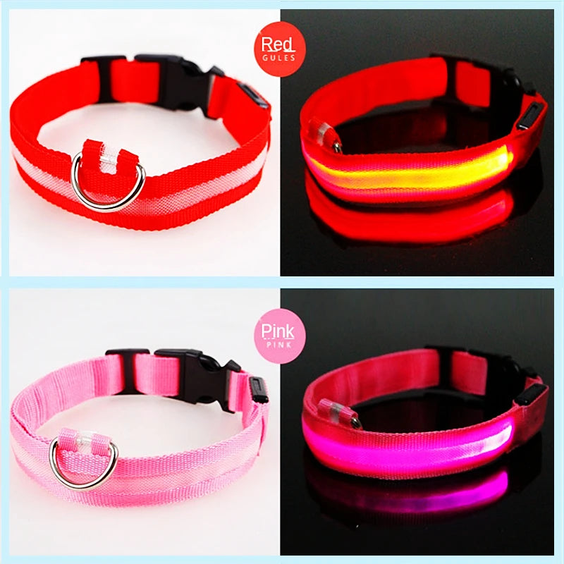 Verstellbares leuchtendes Haustierhalsband – über USB wiederaufladbares LED-Licht für Hunde und Katzen