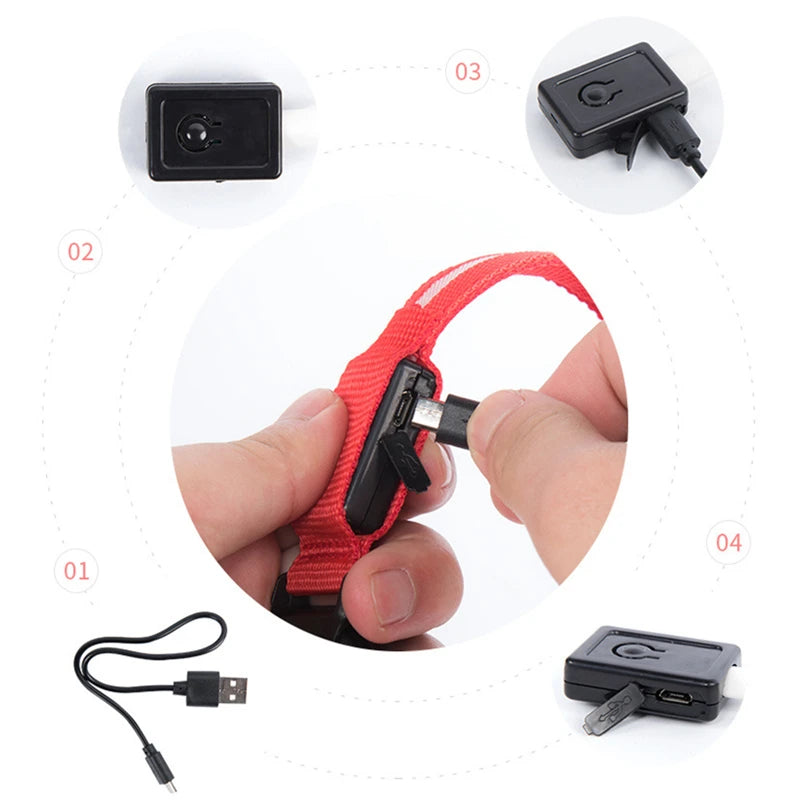 Verstellbares leuchtendes Haustierhalsband – über USB wiederaufladbares LED-Licht für Hunde und Katzen