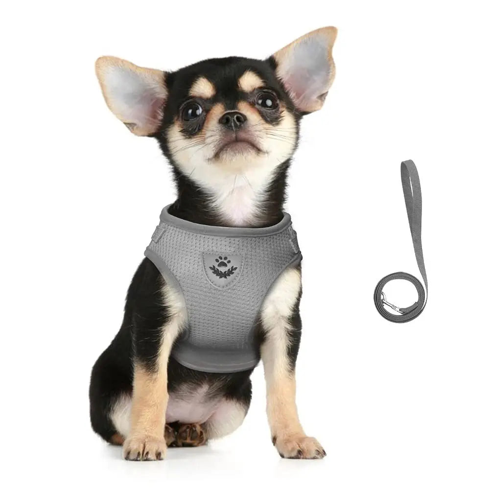 Cat & Puppy Harness Leash Combo eflective Mesh Harness