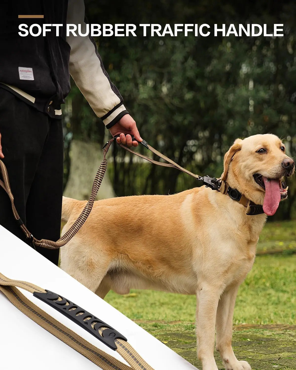 Reflective No Pull Dog Leash – Shock Absorbing Bungee with Car Safety Seatbelt