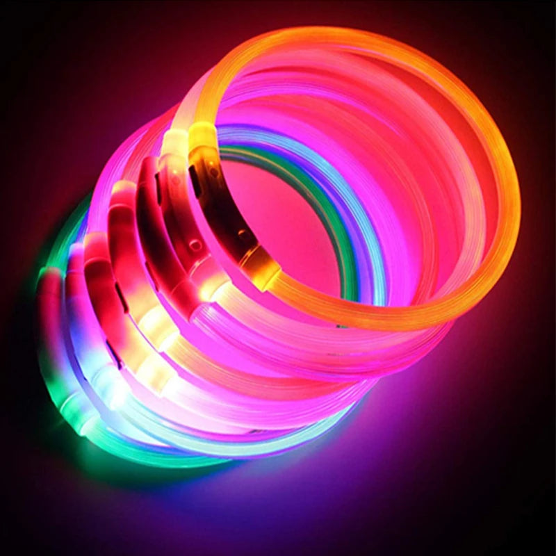Verstellbares leuchtendes Haustierhalsband – über USB wiederaufladbares LED-Licht für Hunde und Katzen