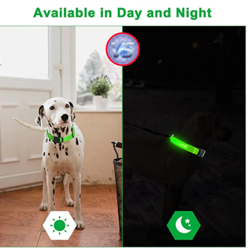 Verstellbares leuchtendes Haustierhalsband – über USB wiederaufladbares LED-Licht für Hunde und Katzen