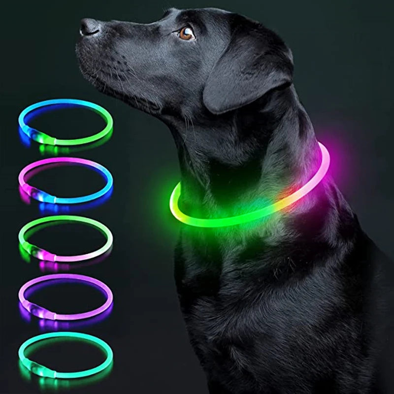 Verstellbares leuchtendes Haustierhalsband – über USB wiederaufladbares LED-Licht für Hunde und Katzen