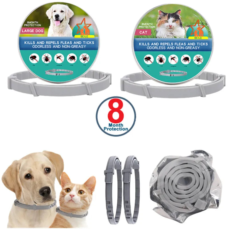 Verstellbares leuchtendes Haustierhalsband – über USB wiederaufladbares LED-Licht für Hunde und Katzen