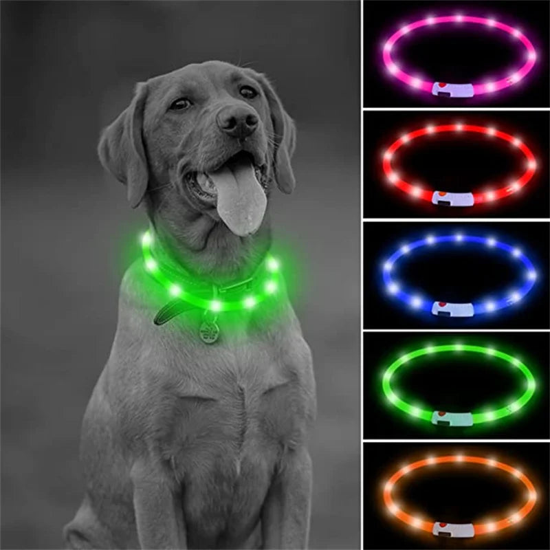 Verstellbares leuchtendes Haustierhalsband – über USB wiederaufladbares LED-Licht für Hunde und Katzen