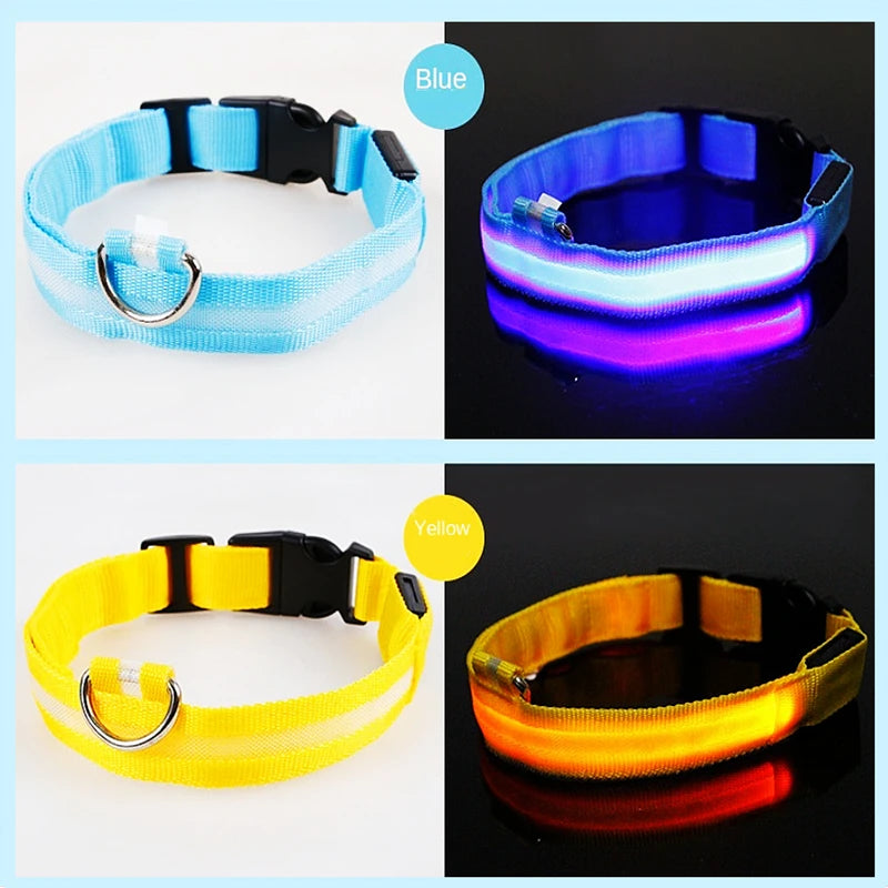 Verstellbares leuchtendes Haustierhalsband – über USB wiederaufladbares LED-Licht für Hunde und Katzen