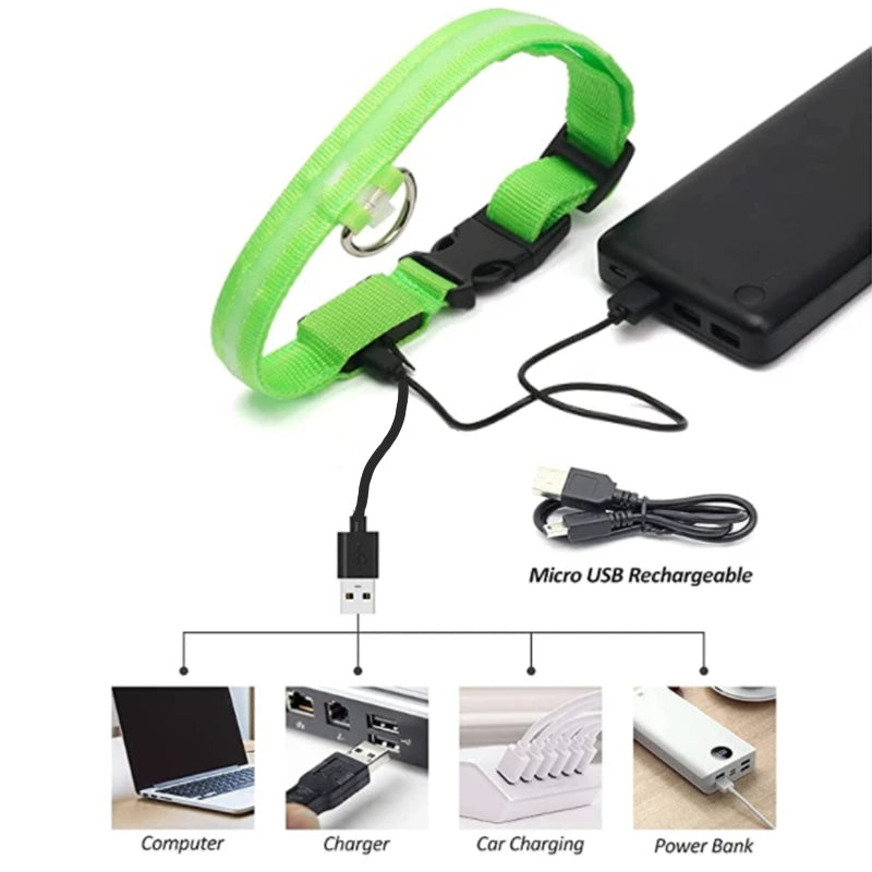 Verstellbares leuchtendes Haustierhalsband – über USB wiederaufladbares LED-Licht für Hunde und Katzen