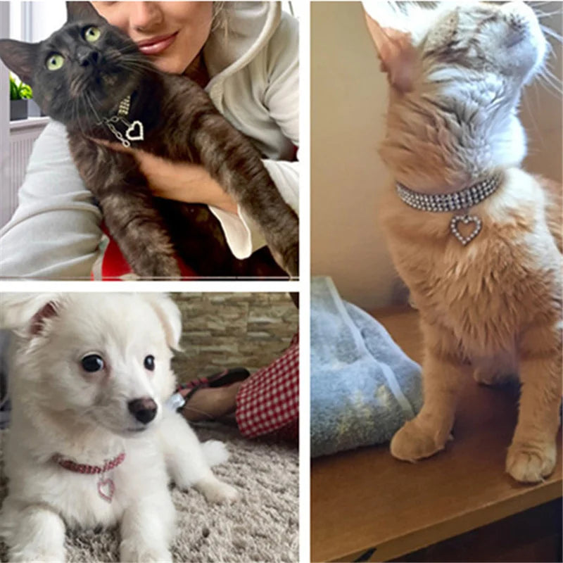 Sparkling Rhinestone Collar for Cats and Dogs with Love Design