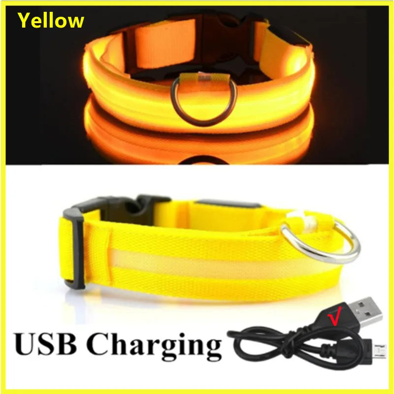 Verstellbares leuchtendes Haustierhalsband – über USB wiederaufladbares LED-Licht für Hunde und Katzen