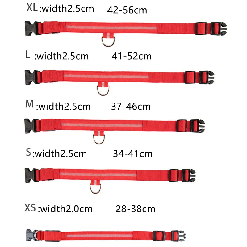 Verstellbares leuchtendes Haustierhalsband – über USB wiederaufladbares LED-Licht für Hunde und Katzen