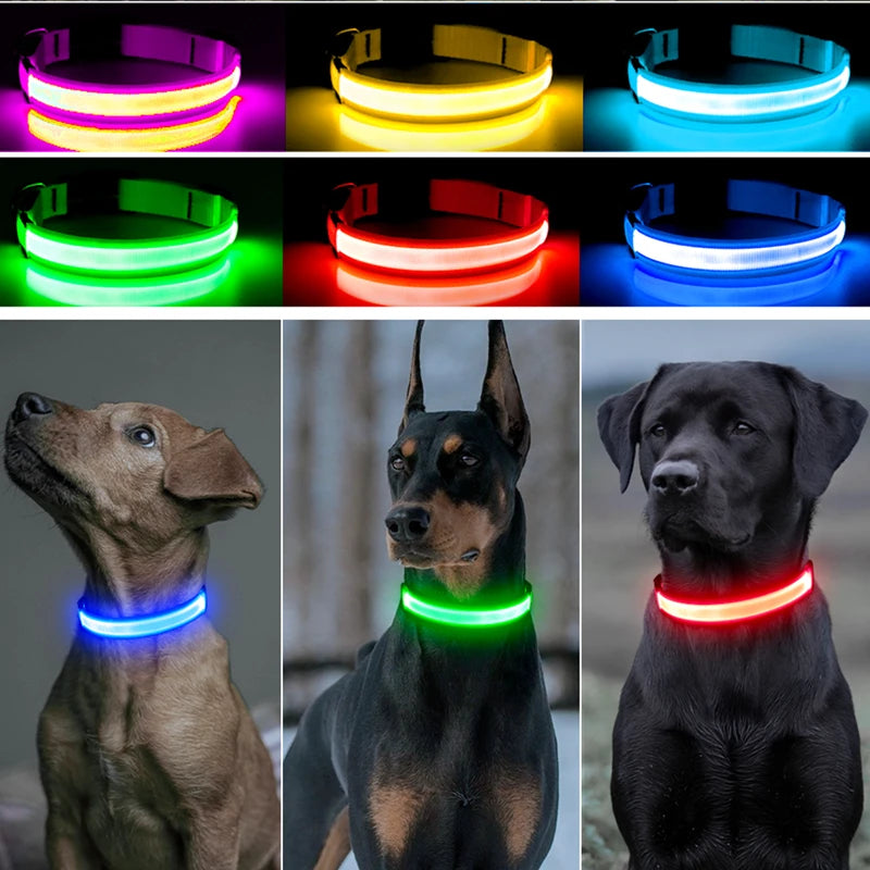 Verstellbares leuchtendes Haustierhalsband – über USB wiederaufladbares LED-Licht für Hunde und Katzen