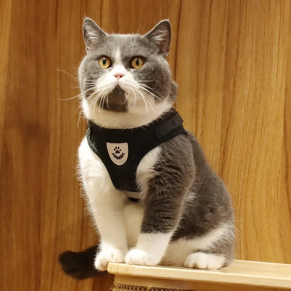Cat & Puppy Harness Leash Combo eflective Mesh Harness