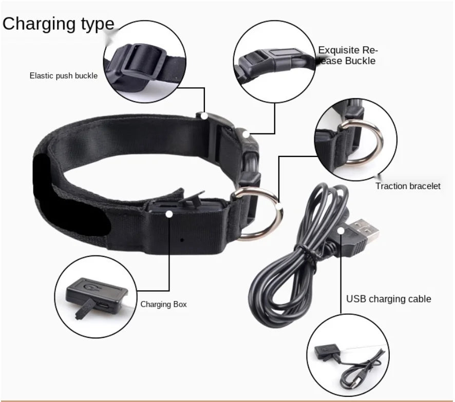 Verstellbares leuchtendes Haustierhalsband – über USB wiederaufladbares LED-Licht für Hunde und Katzen