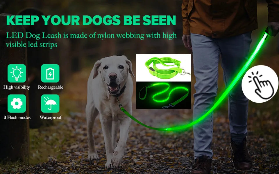Verstellbares leuchtendes Haustierhalsband – über USB wiederaufladbares LED-Licht für Hunde und Katzen