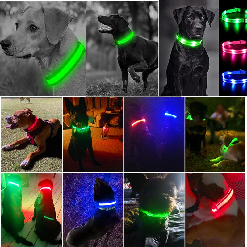 Verstellbares leuchtendes Haustierhalsband – über USB wiederaufladbares LED-Licht für Hunde und Katzen