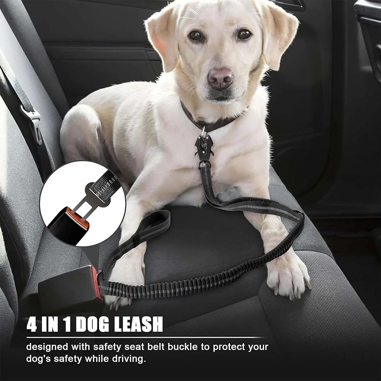 Reflective No Pull Dog Leash – Shock Absorbing Bungee with Car Safety Seatbelt