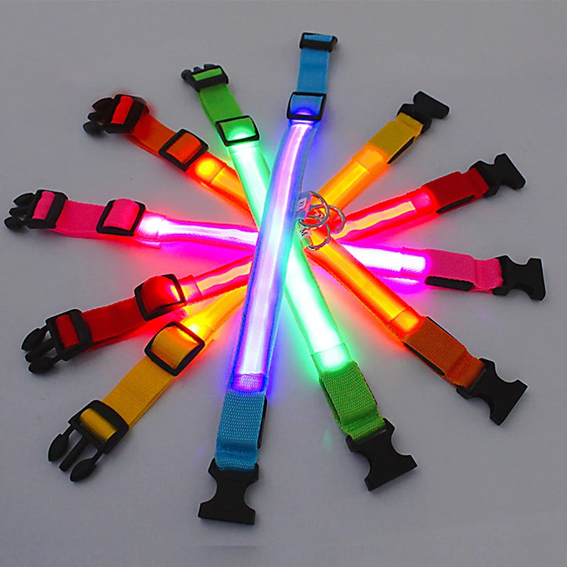 Verstellbares leuchtendes Haustierhalsband – über USB wiederaufladbares LED-Licht für Hunde und Katzen