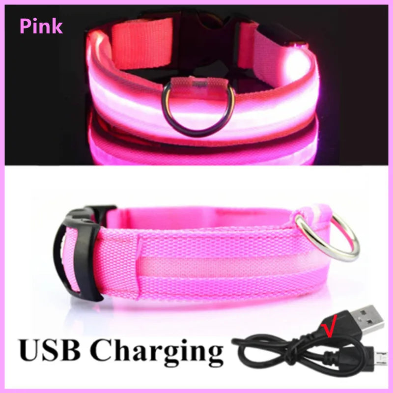 Verstellbares leuchtendes Haustierhalsband – über USB wiederaufladbares LED-Licht für Hunde und Katzen