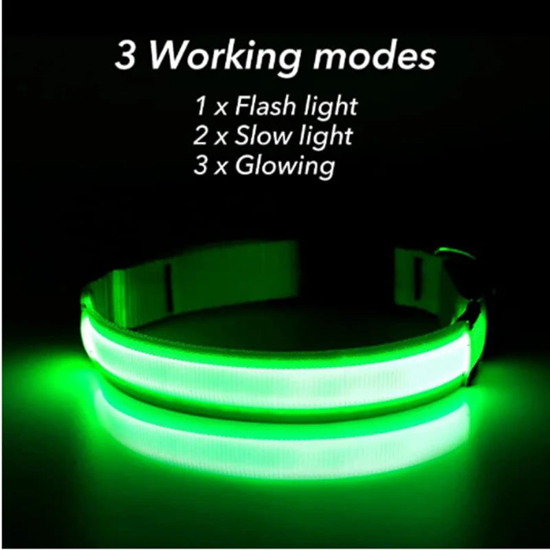 Verstellbares leuchtendes Haustierhalsband – über USB wiederaufladbares LED-Licht für Hunde und Katzen