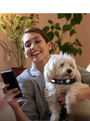 GPS Dog Collar with Apple AirTag - LED & USB Rechargeable