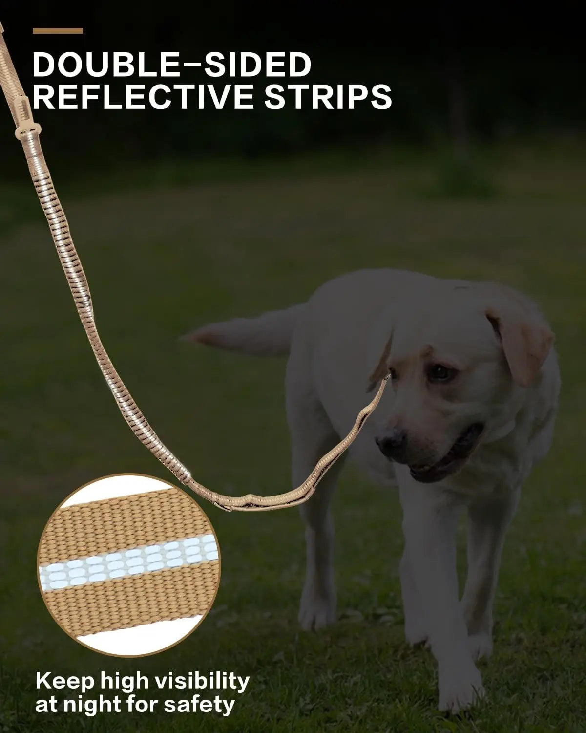 Reflective No Pull Dog Leash – Shock Absorbing Bungee with Car Safety Seatbelt