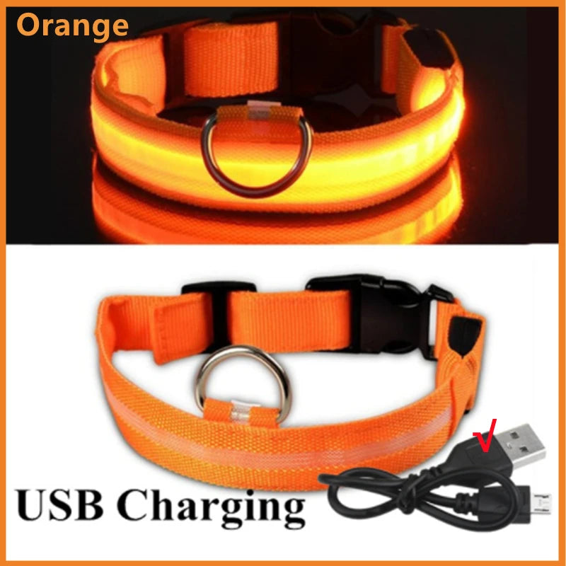 Verstellbares leuchtendes Haustierhalsband – über USB wiederaufladbares LED-Licht für Hunde und Katzen