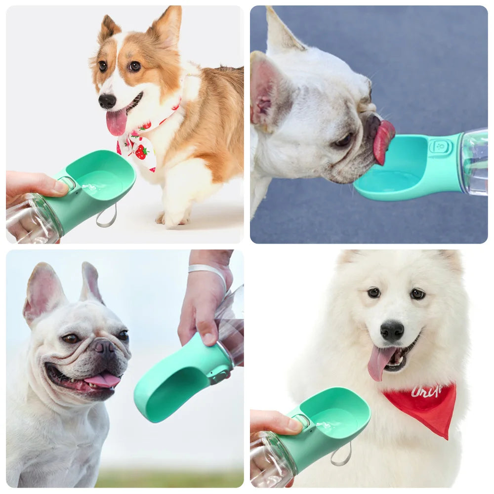 Tragbare Hundewasserflasche – Auslaufsichere Flüssigkeitsversorgung für Haustiere auf Reisen