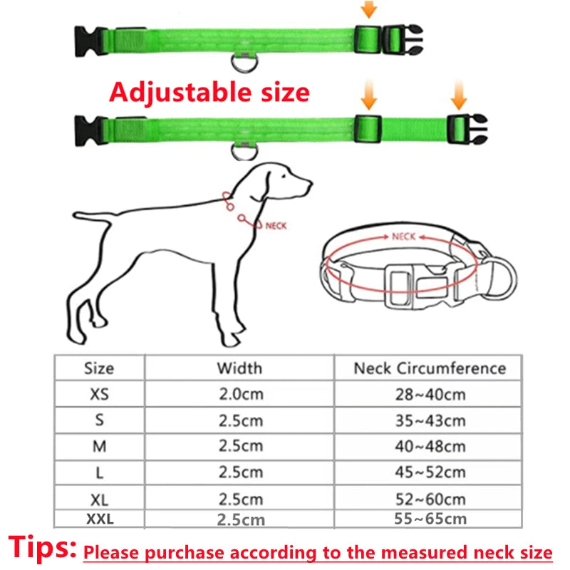Verstellbares leuchtendes Haustierhalsband – über USB wiederaufladbares LED-Licht für Hunde und Katzen