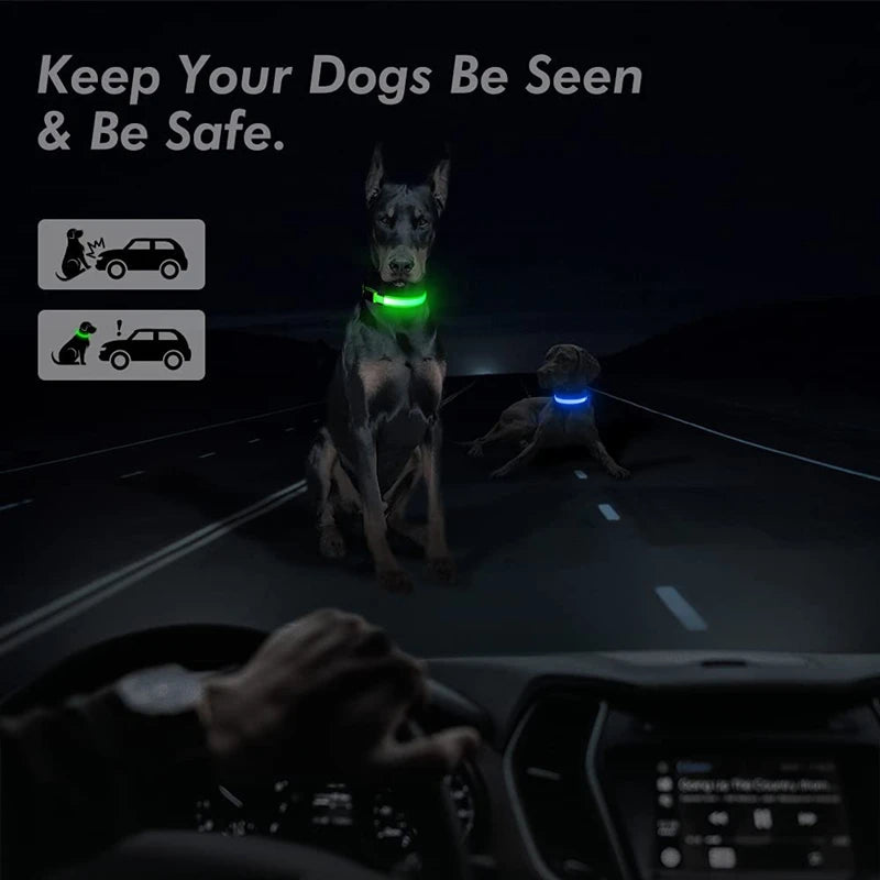 Verstellbares leuchtendes Haustierhalsband – über USB wiederaufladbares LED-Licht für Hunde und Katzen