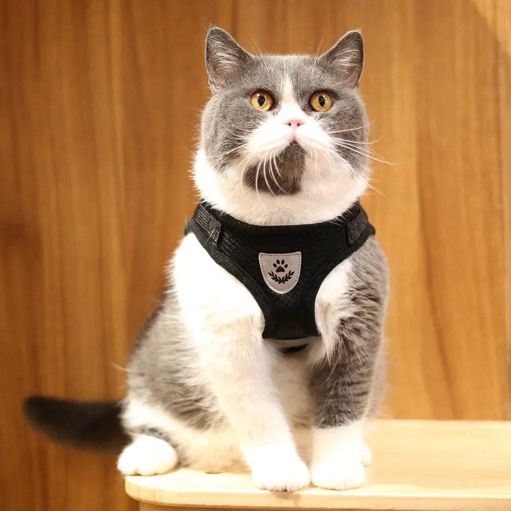Cat & Puppy Harness Leash Combo eflective Mesh Harness
