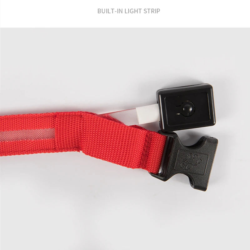 Verstellbares leuchtendes Haustierhalsband – über USB wiederaufladbares LED-Licht für Hunde und Katzen