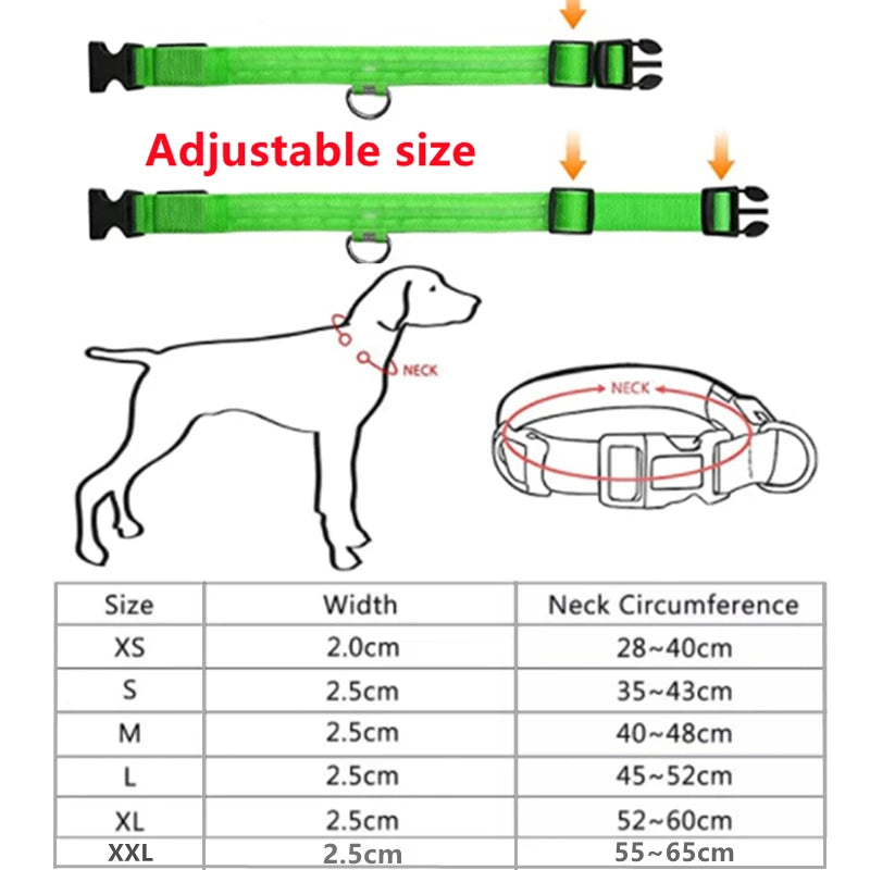 Verstellbares leuchtendes Haustierhalsband – über USB wiederaufladbares LED-Licht für Hunde und Katzen