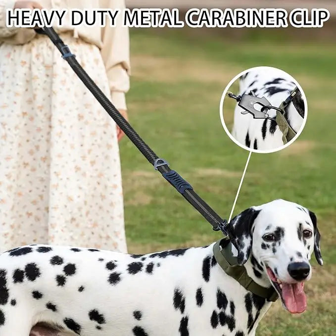Reflective No Pull Dog Leash – Shock Absorbing Bungee with Car Safety Seatbelt