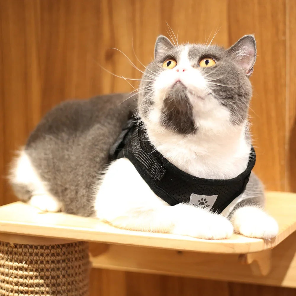 Cat & Puppy Harness Leash Combo eflective Mesh Harness