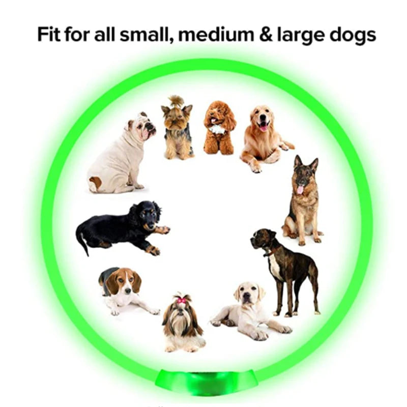 Verstellbares leuchtendes Haustierhalsband – über USB wiederaufladbares LED-Licht für Hunde und Katzen
