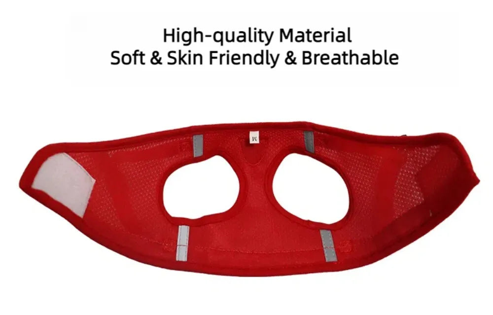Cat & Puppy Harness Leash Combo eflective Mesh Harness
